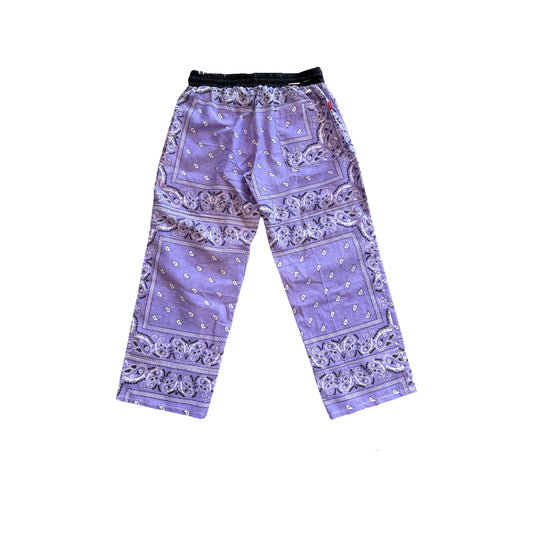Solid Purple Paisley Pants