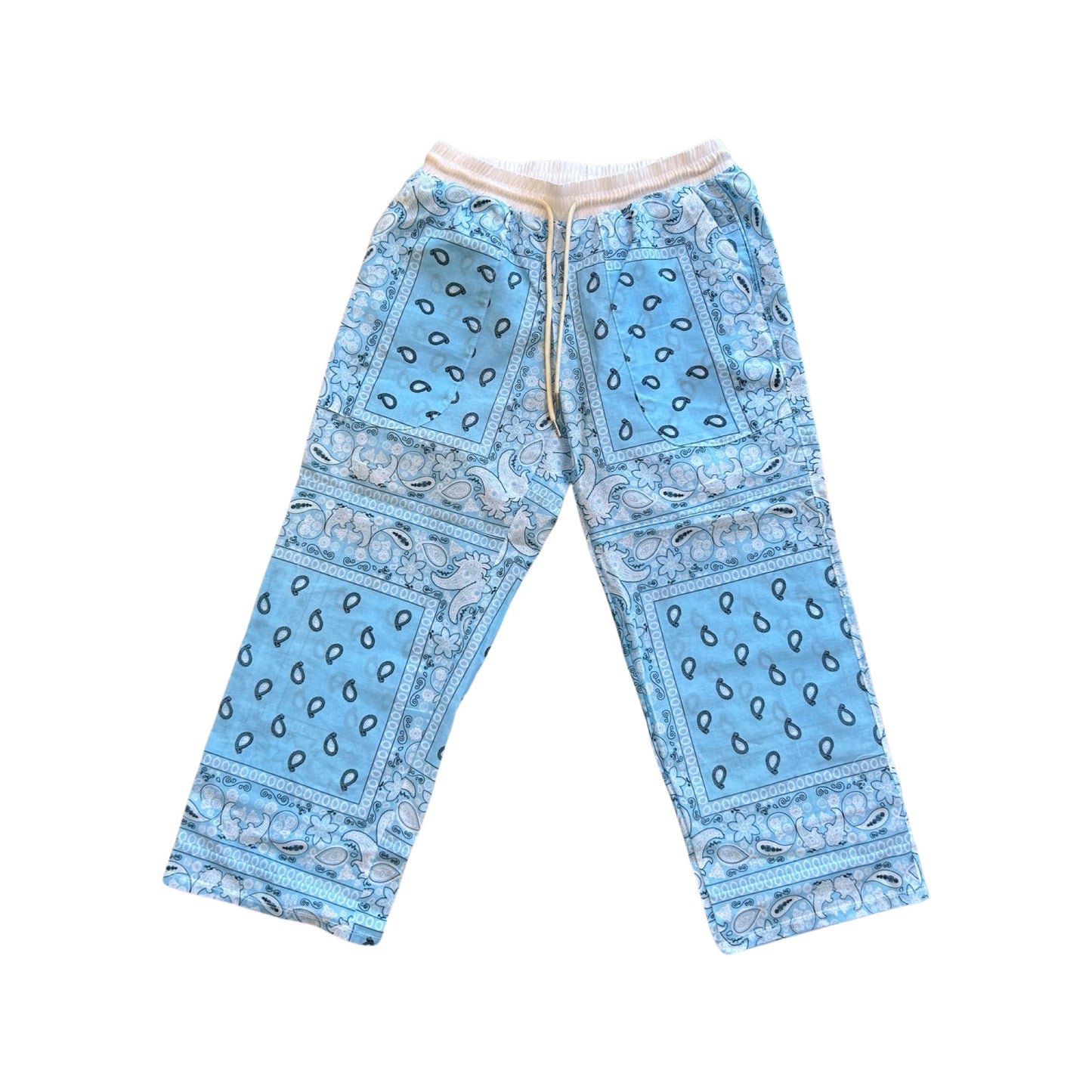 Solid Light Blue Paisley Pants